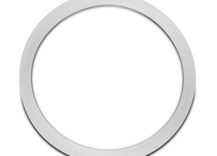 Replacement Gasket for Dutch Weave Sintered Filter Disks - Silicone