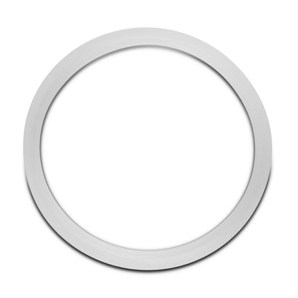 Replacement Gasket for Dutch Weave Sintered Filter Disks - Silicone New Products BVV 2" 