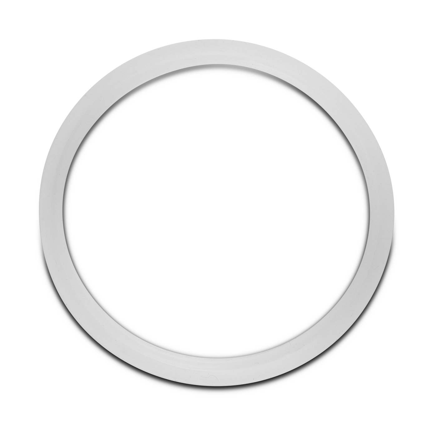 Replacement Gasket for Dutch Weave Sintered Filter Disks - Silicone New Products BVV 2" 