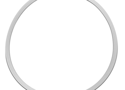 Replacement Gasket for Dutch Weave Sintered Filter Disks - Silicone