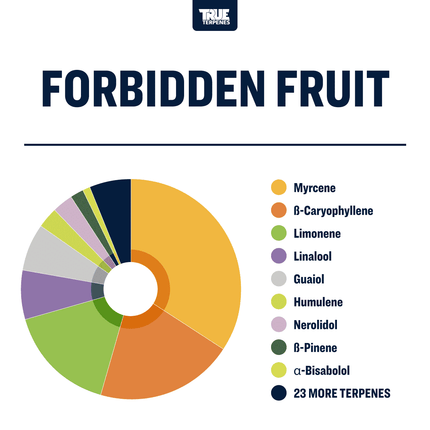 True Terpenes Forbidden Fruit - Infused Shop All Categories True Terpenes 
