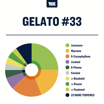True Terpenes Gelato #33 - Infused Shop All Categories True Terpenes 