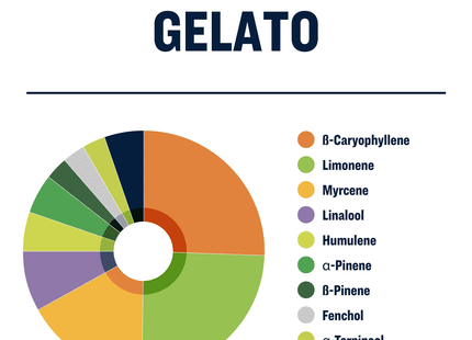 True Terpenes Gelato