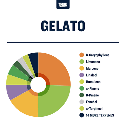 True Terpenes Gelato - Precision Shop All Categories True Terpenes 
