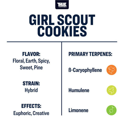 True Terpenes Girl Scout Cookies Profile Shop All Categories True Terpenes 