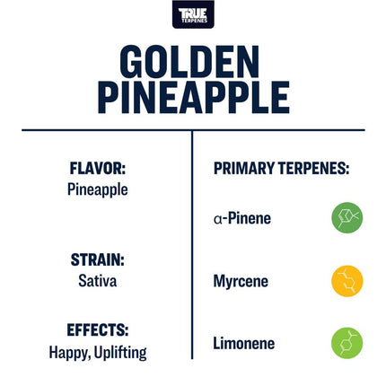 True Terpenes Golden Pineapple Infused Shop All Categories True Terpenes 