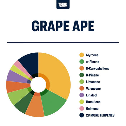 True Terpenes Grape Ape Shop All Categories True Terpenes 
