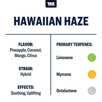 True Terpenes Hawaiian Haze Shop All Categories True Terpenes 