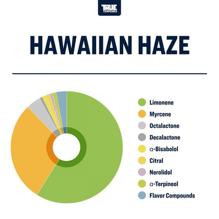 True Terpenes Hawaiian Haze Shop All Categories True Terpenes 