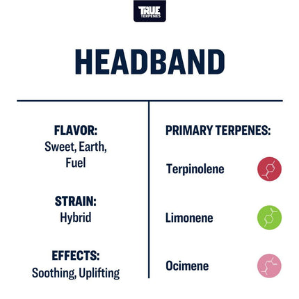 True Terpenes Headband - Profile Shop All Categories True Terpenes 