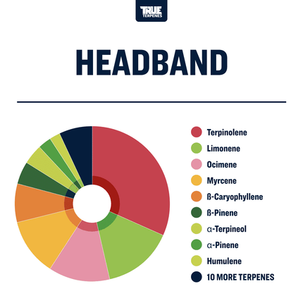 True Terpenes Headband - Profile Shop All Categories True Terpenes 