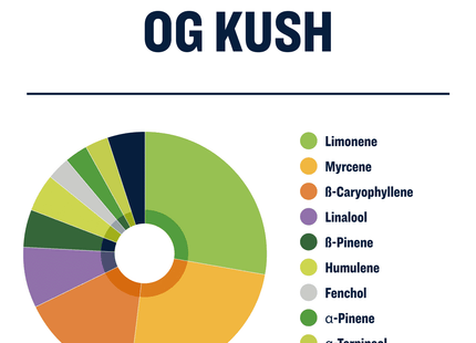True Terpenes OG Kush - Profile