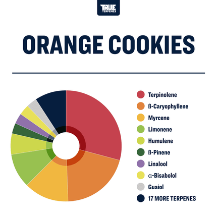 True Terpenes Orange Cookies - Precision Shop All Categories True Terpenes 