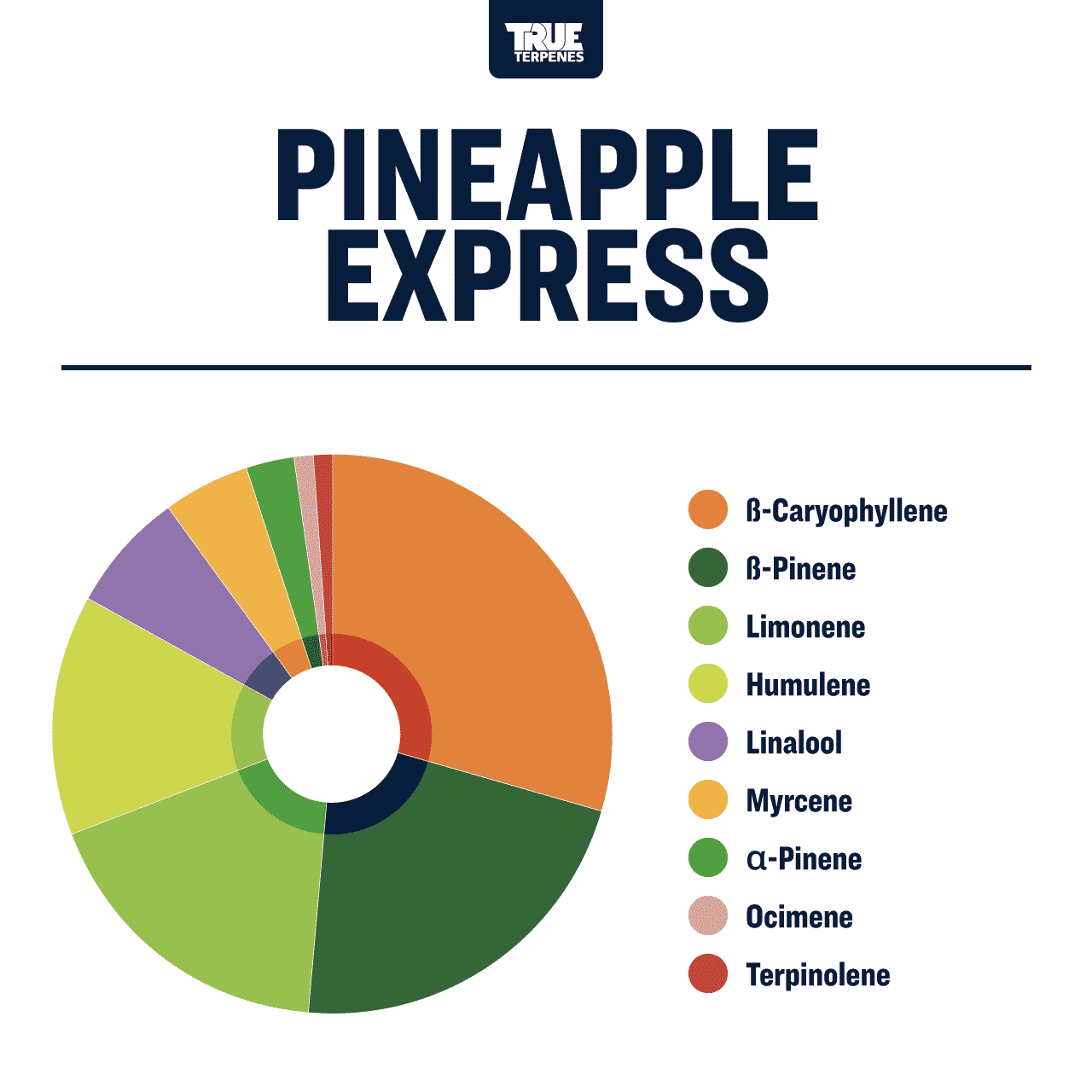 True Terpenes Pineapple Express - Precision Shop All Categories True Terpenes 
