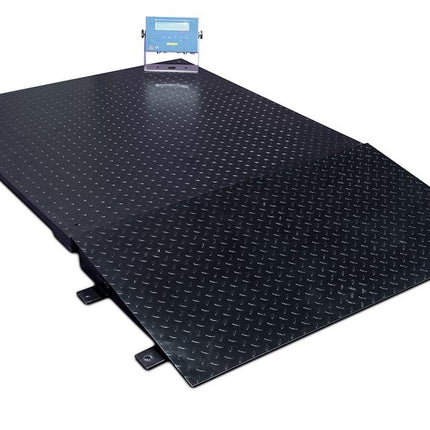 Explosion Proof Platform Scales - 3000KG New Products BVV Carbon Steel 