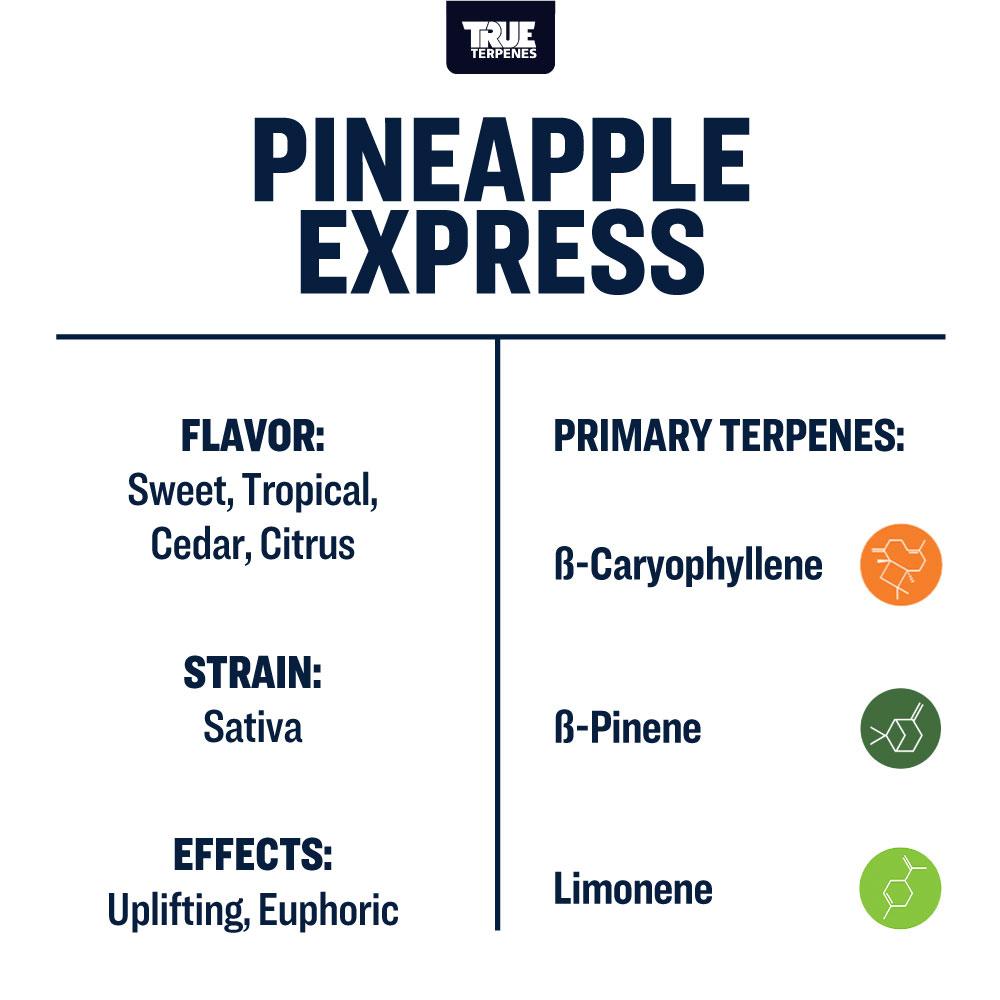 True Terpenes Pineapple Express - Precision Shop All Categories True Terpenes 