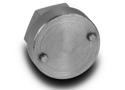 TRS21 2 Piece Piston Tool