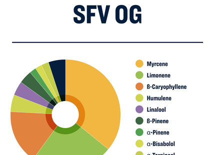 True Terpenes SFV OG Profile