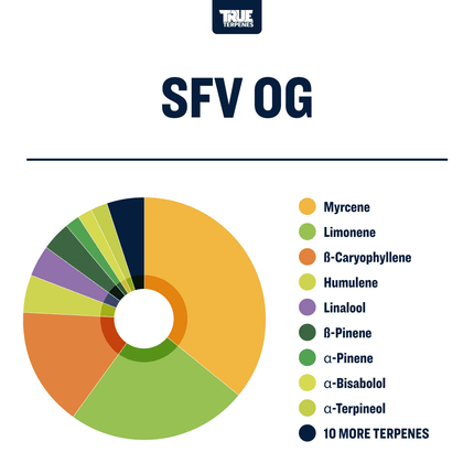True Terpenes SFV OG Profile Shop All Categories True Terpenes 