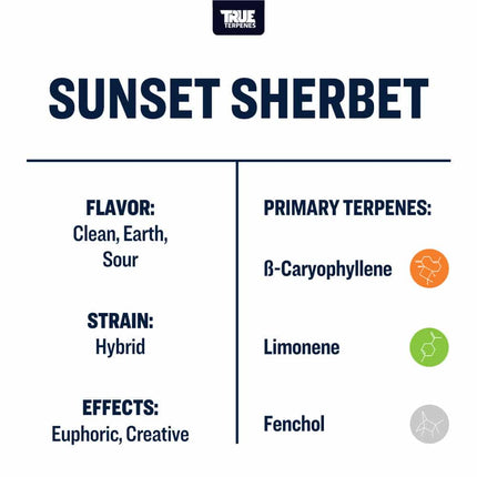 True Terpenes Sunset Sherbet - Precision Shop All Categories True Terpenes 