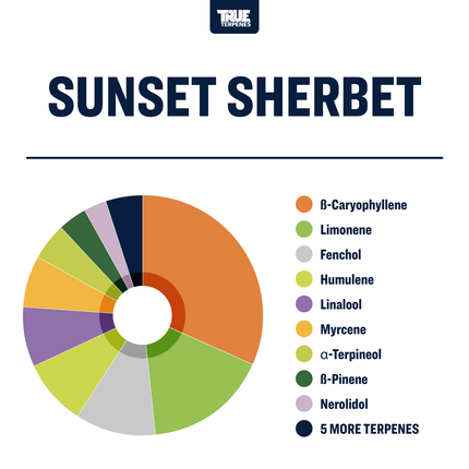 True Terpenes Sunset Sherbet - Precision Shop All Categories True Terpenes 