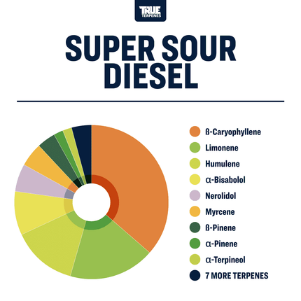 True Terpenes Super Sour Diesel - Precision Shop All Categories True Terpenes 