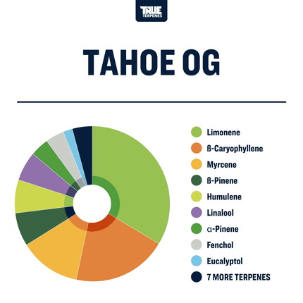 True Terpenes Tahoe OG - Precision Shop All Categories True Terpenes 