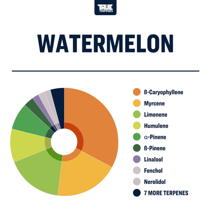 True Terpenes Watermelon Profile Shop All Categories True Terpenes 
