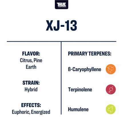 True Terpenes XJ-13 - Precision Shop All Categories True Terpenes 
