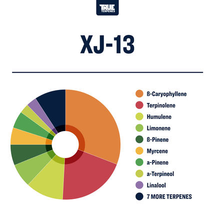 True Terpenes XJ-13 - Precision Shop All Categories True Terpenes 