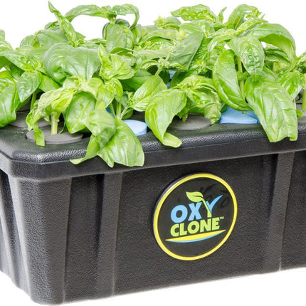 oxyCLONE PRO Series 20 Site Cloning System oxyCLONE 