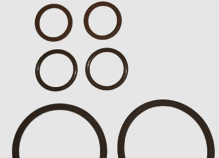 TRS21 Valve Head Complete Viton O-ring Kit