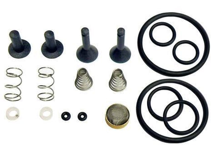 TRS21 Valve Rebuild Kit TR21X1
