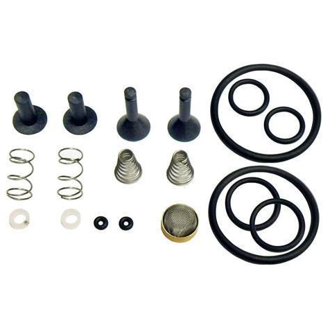 TRS21 Valve Rebuild Kit Shop All Categories CPS Products 