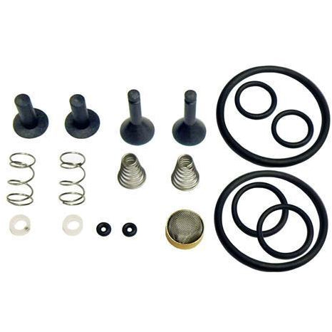 TRS21 Valve Rebuild Kit TR21X1