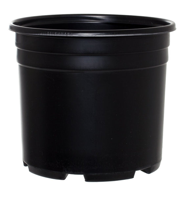 Pro Cal Thermo Pot, Squat, 3 gal