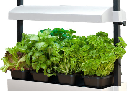 Micro Grow Light Garden, White